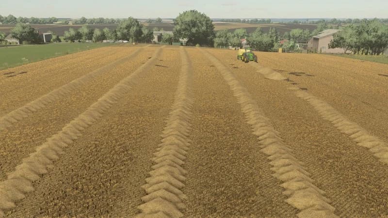 LARGER STRAW SWATH 2