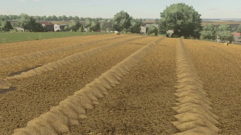 LARGER STRAW SWATH