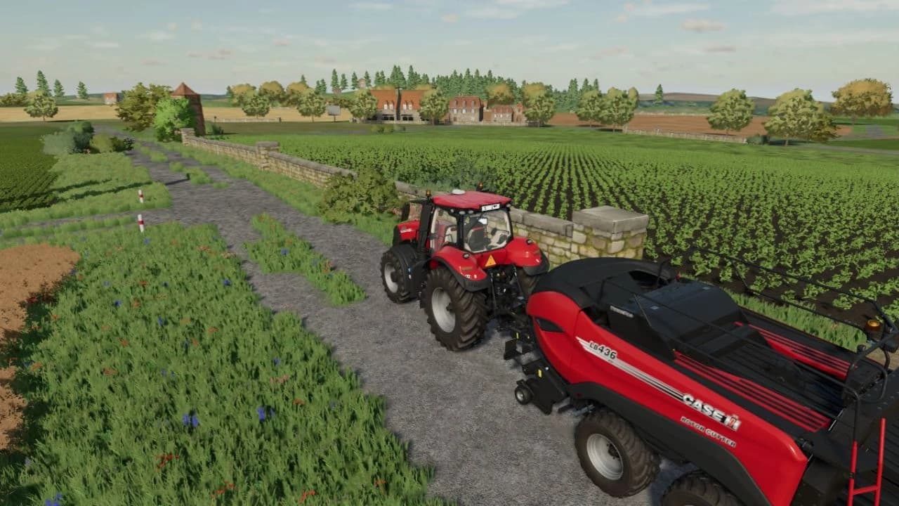 LE MÀS MAP 2