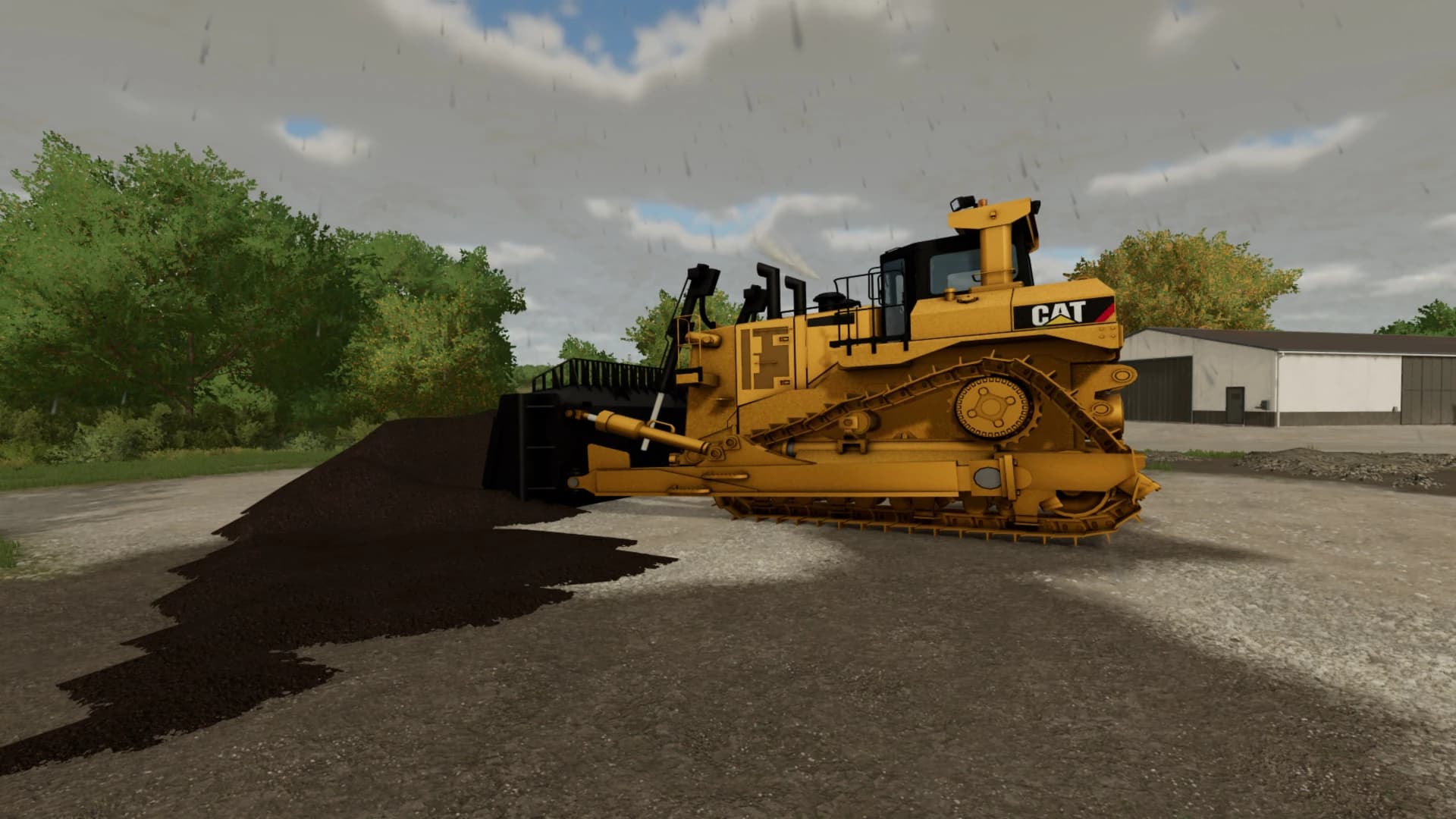 LEGENDARY CAT D12