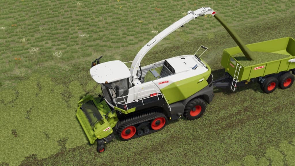 LFHA FORAGEOPTIMA STANDARD 3