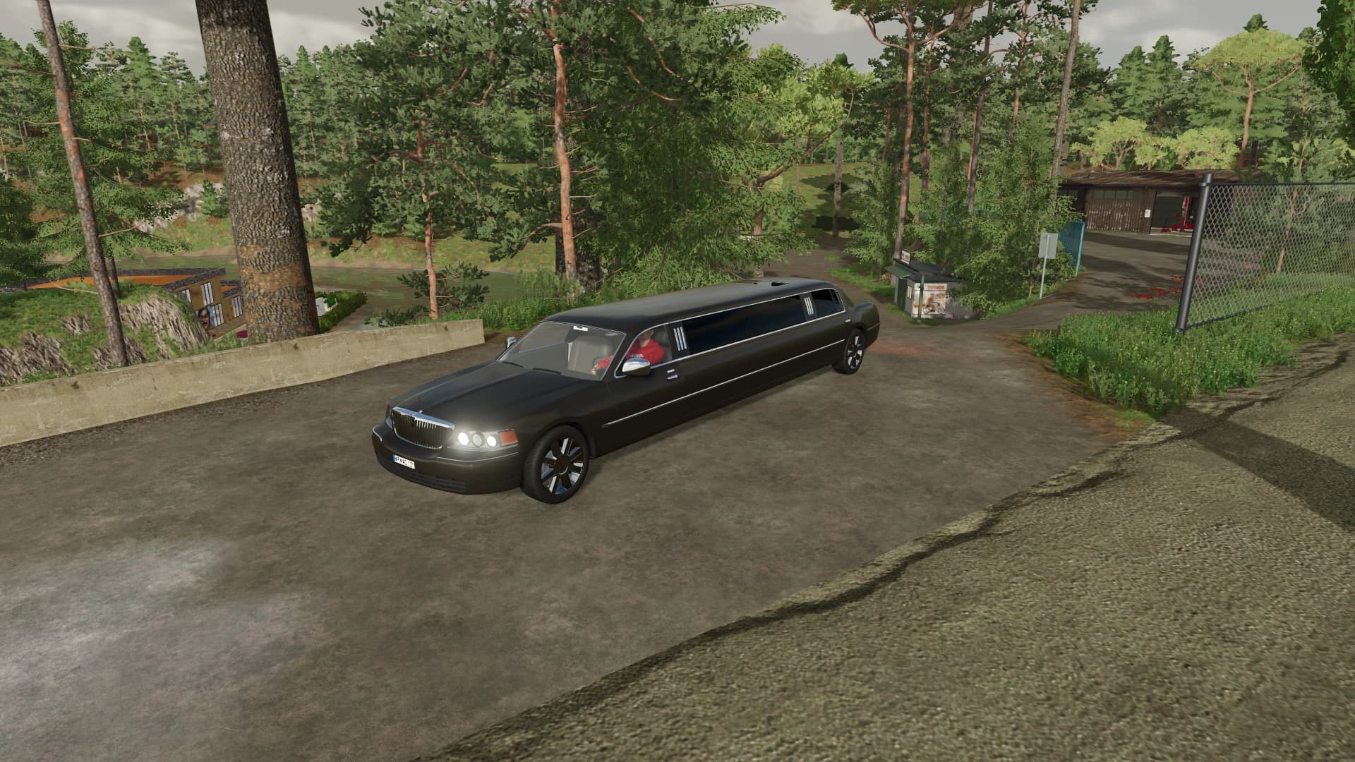 LINCOLN TOWN CAR LIMOUSINE 5