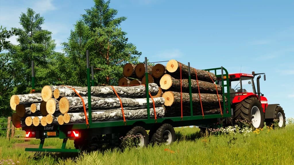 LIZARD 28FT TIMBER TRAILER 3