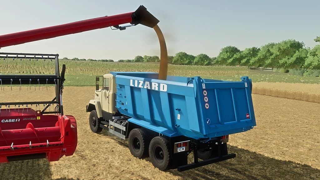 LIZARD 65032 4