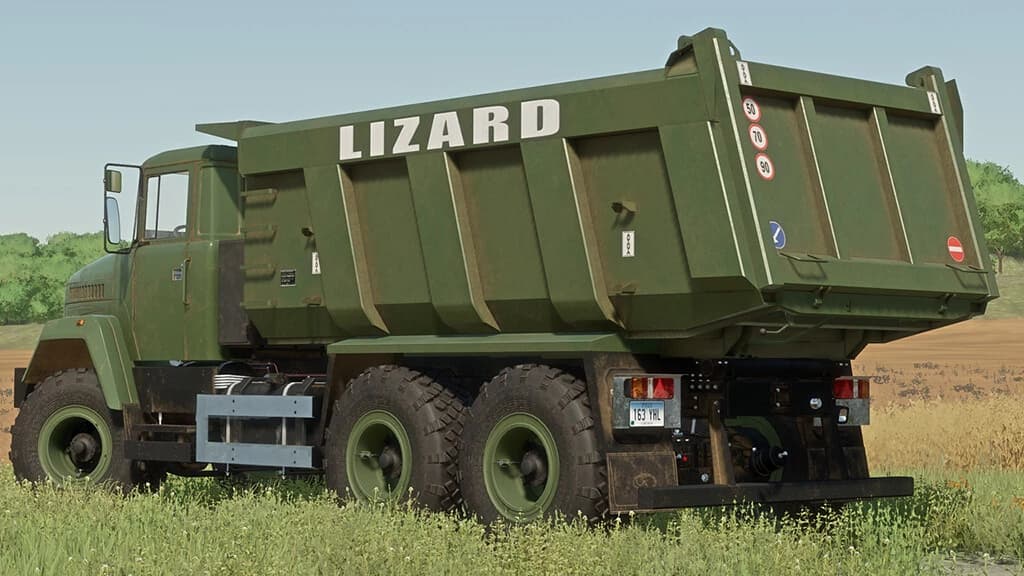 LIZARD 65032 2