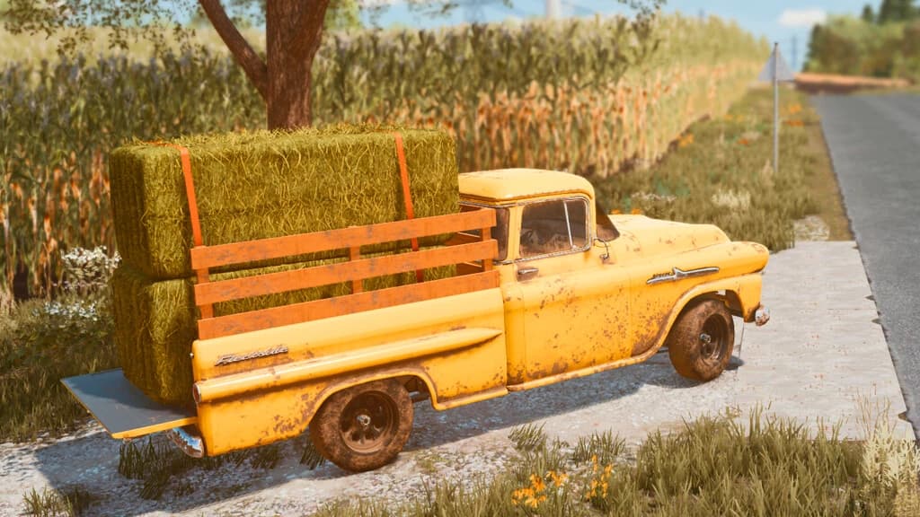 LIZARD APACHE FLEETSIDE 1958 5