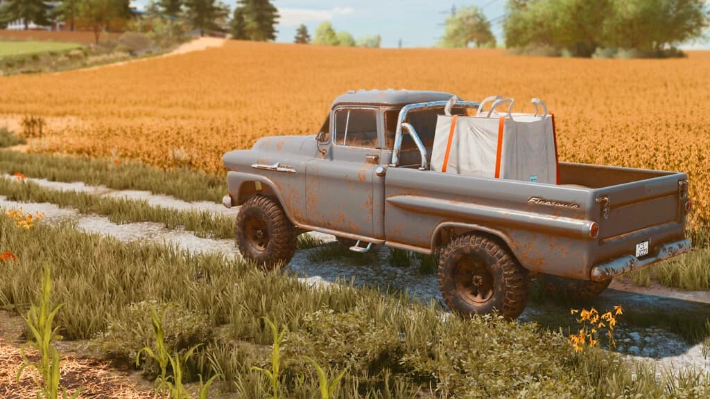 LIZARD APACHE FLEETSIDE 1958 4