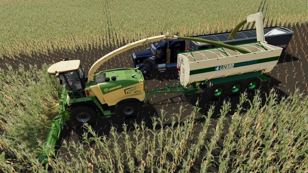 LIZARD AUGER MASTER 5