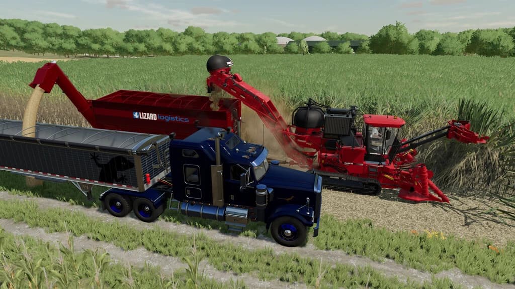 LIZARD AUGER MASTER 3