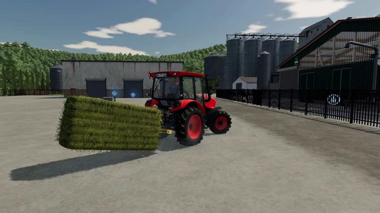 LIZARD BACK PALLETFORK 5