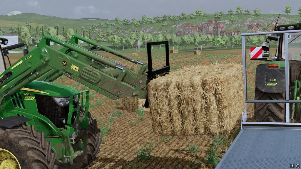 LIZARD BALE FORK 2