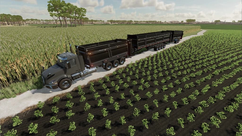 LIZARD BULK AND MANURE SYSTEM 5