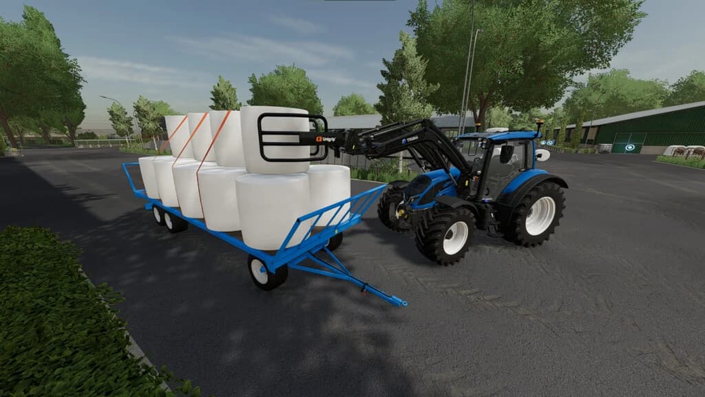 LIZARD BV1003 2