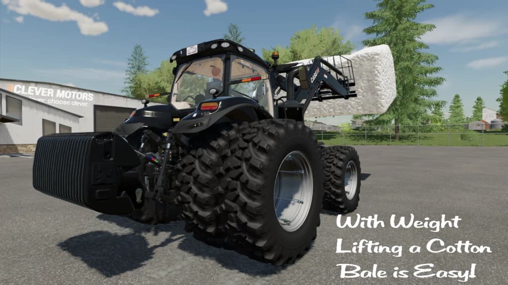 LIZARD CONFIGURABLE WEIGHT 3