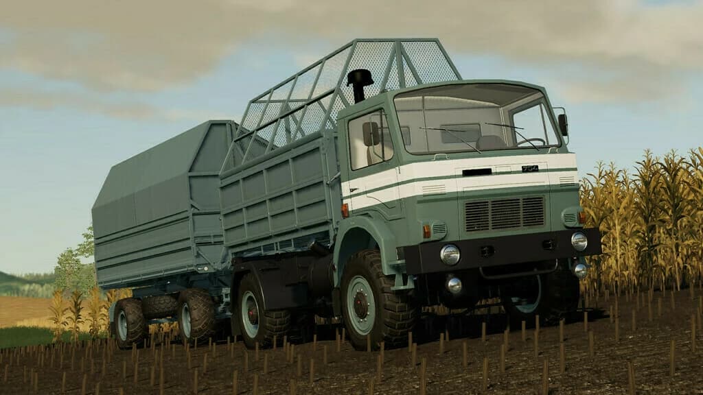 LIZARD D-754 3