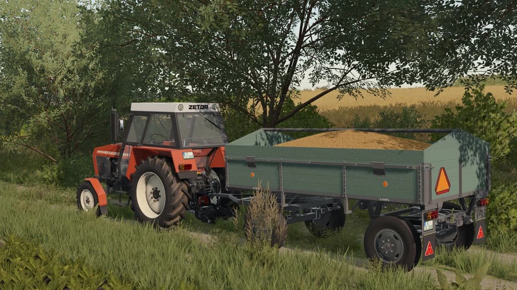 LIZARD D44 4