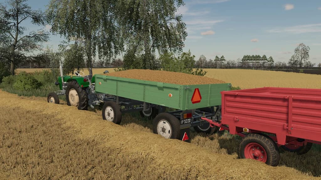 LIZARD D44
