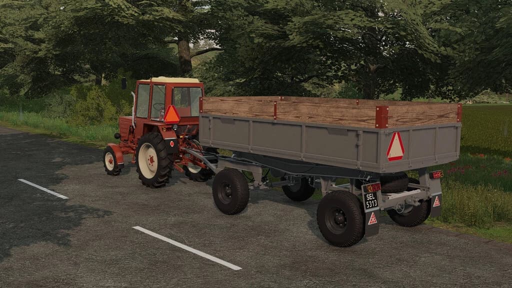 LIZARD D47 2