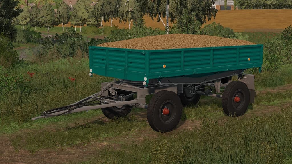 LIZARD D47