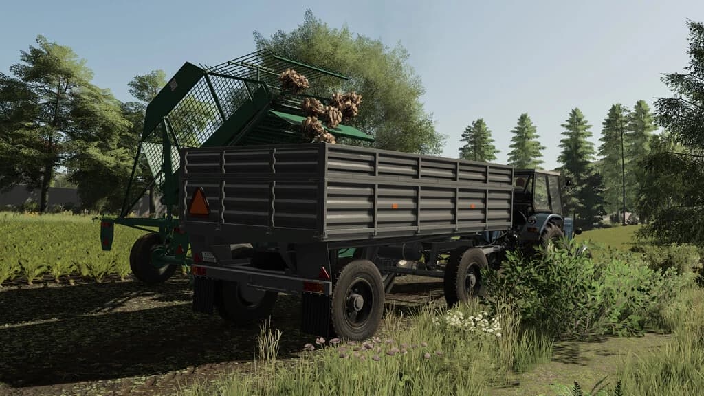 LIZARD D633