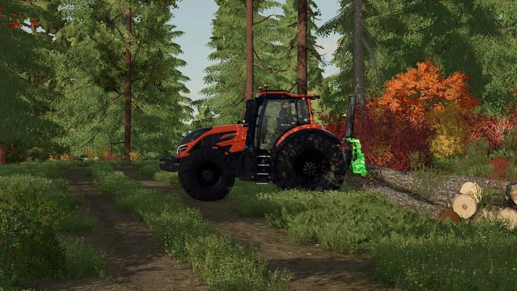 LIZARD FORESTRY D60 5