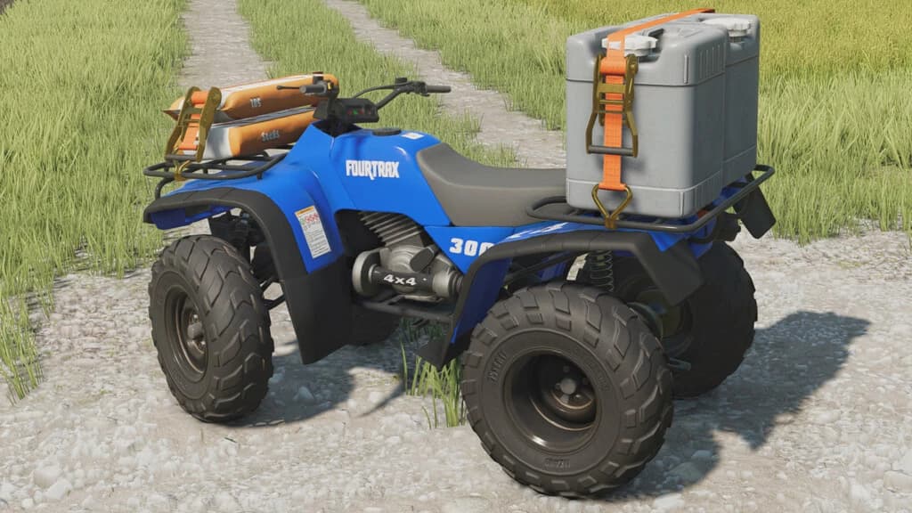 LIZARD FOURTRAX 300 2