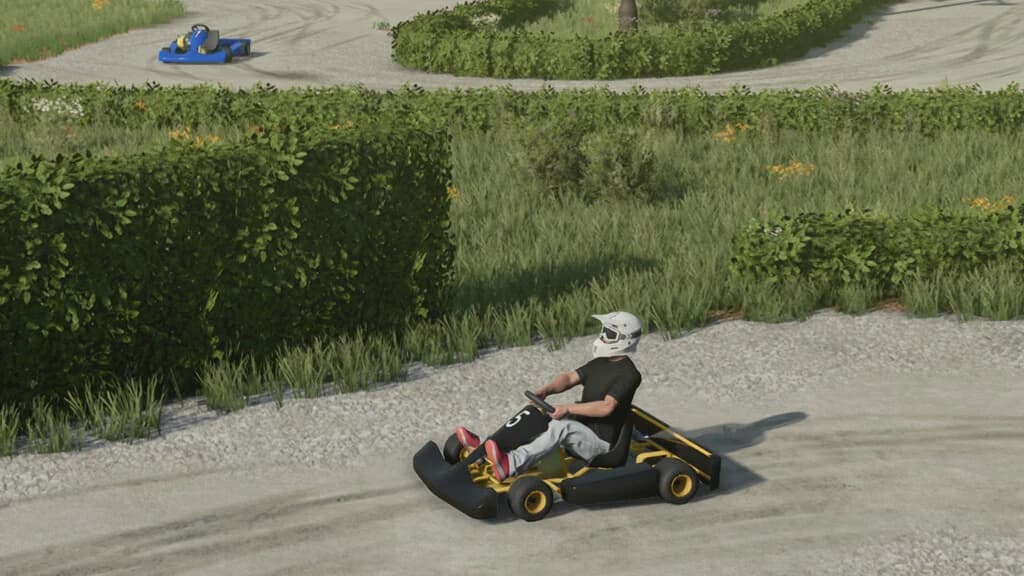 LIZARD KART 3