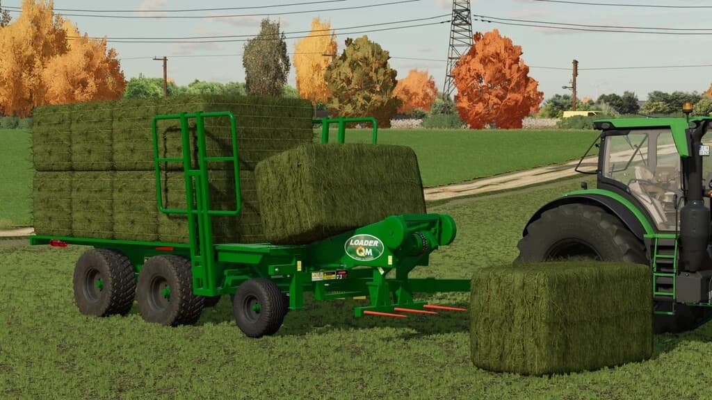 LIZARD LOADER QM EXTRA 2