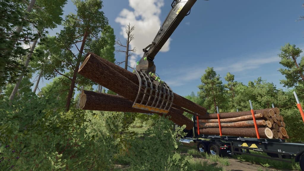 LIZARD LOG GRAPPLE PACK 5