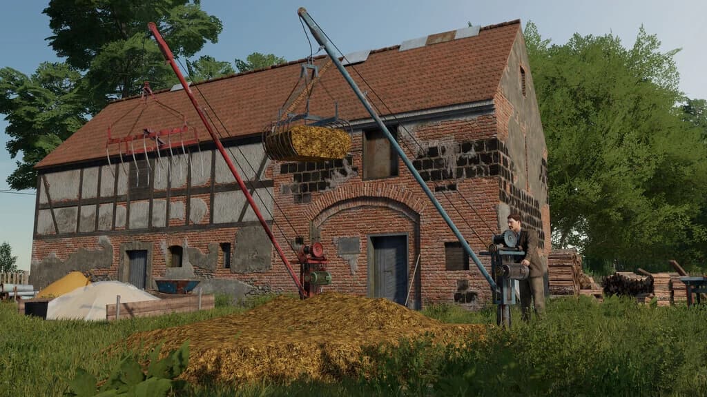 LIZARD MANURE CRANE 5
