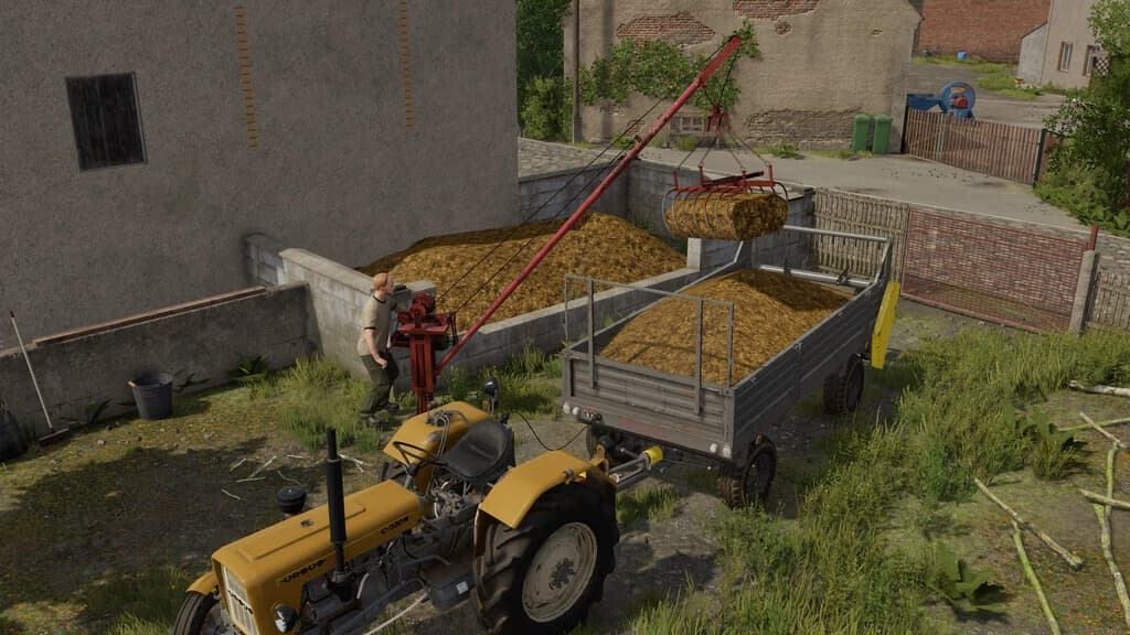 LIZARD MANURE CRANE 2