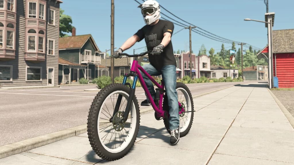 LIZARD MOUNTAIN BIKE 2