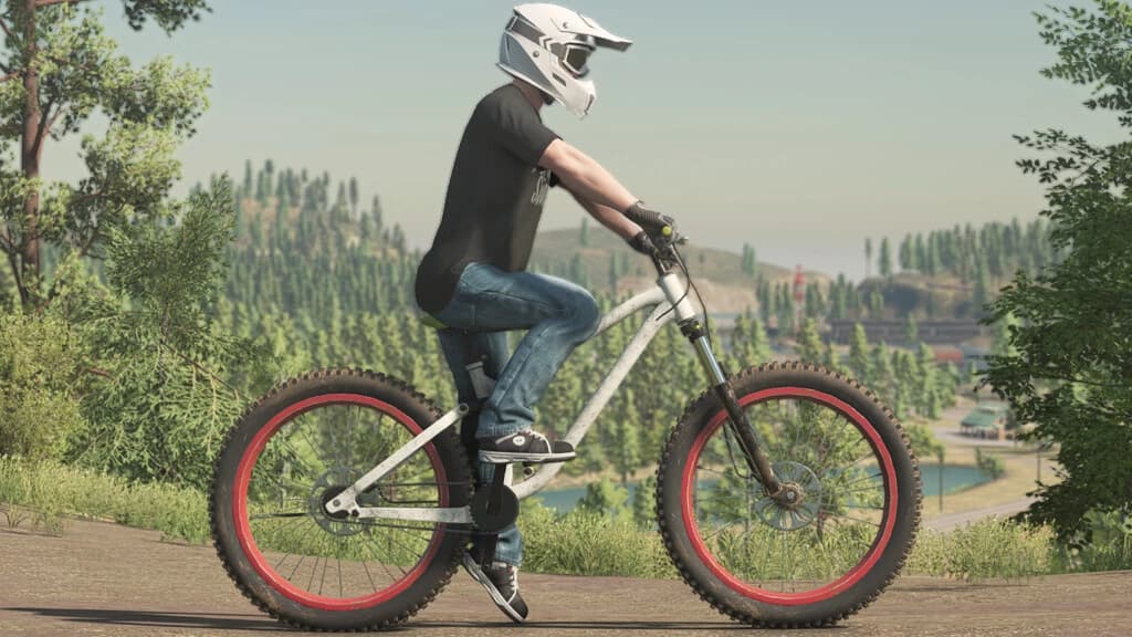 LIZARD MOUNTAIN BIKE