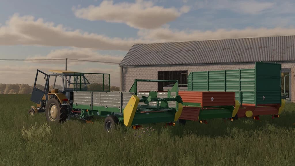 LIZARD N219/5 3