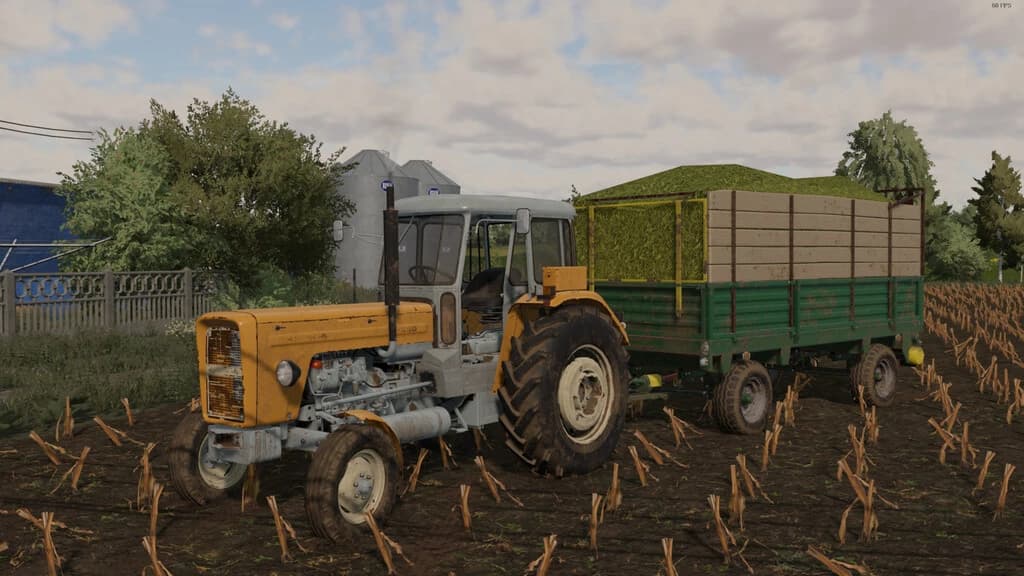 LIZARD N235/1 3