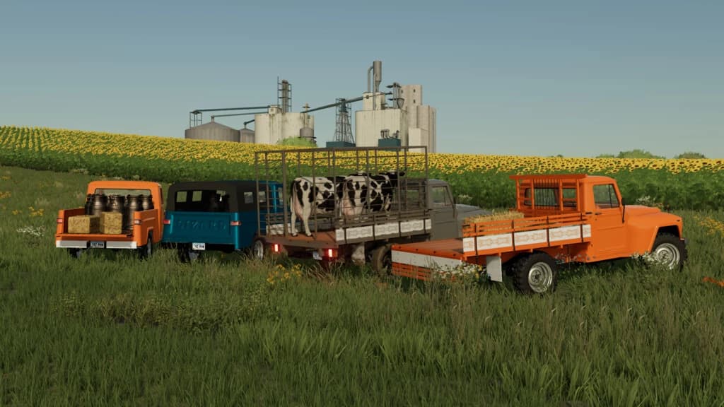 LIZARD PICKUP RURAL F75 5