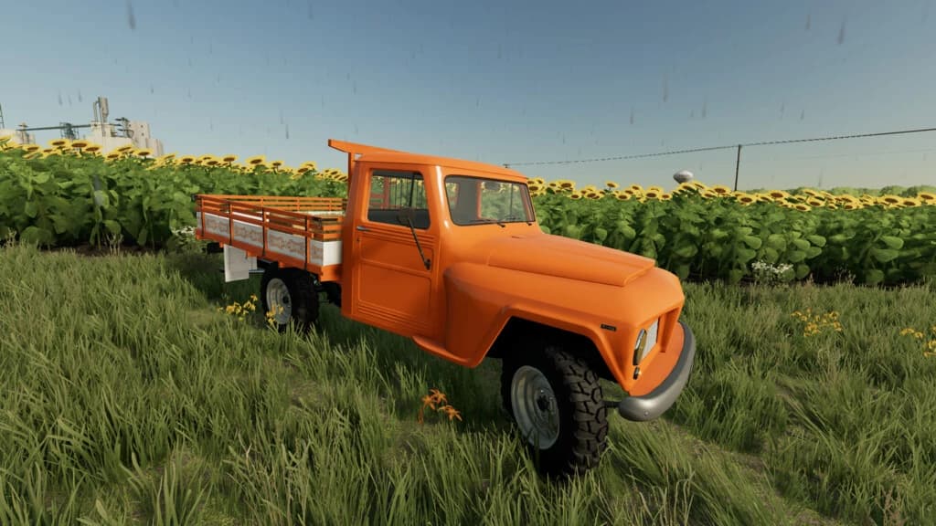 LIZARD PICKUP RURAL F75 4