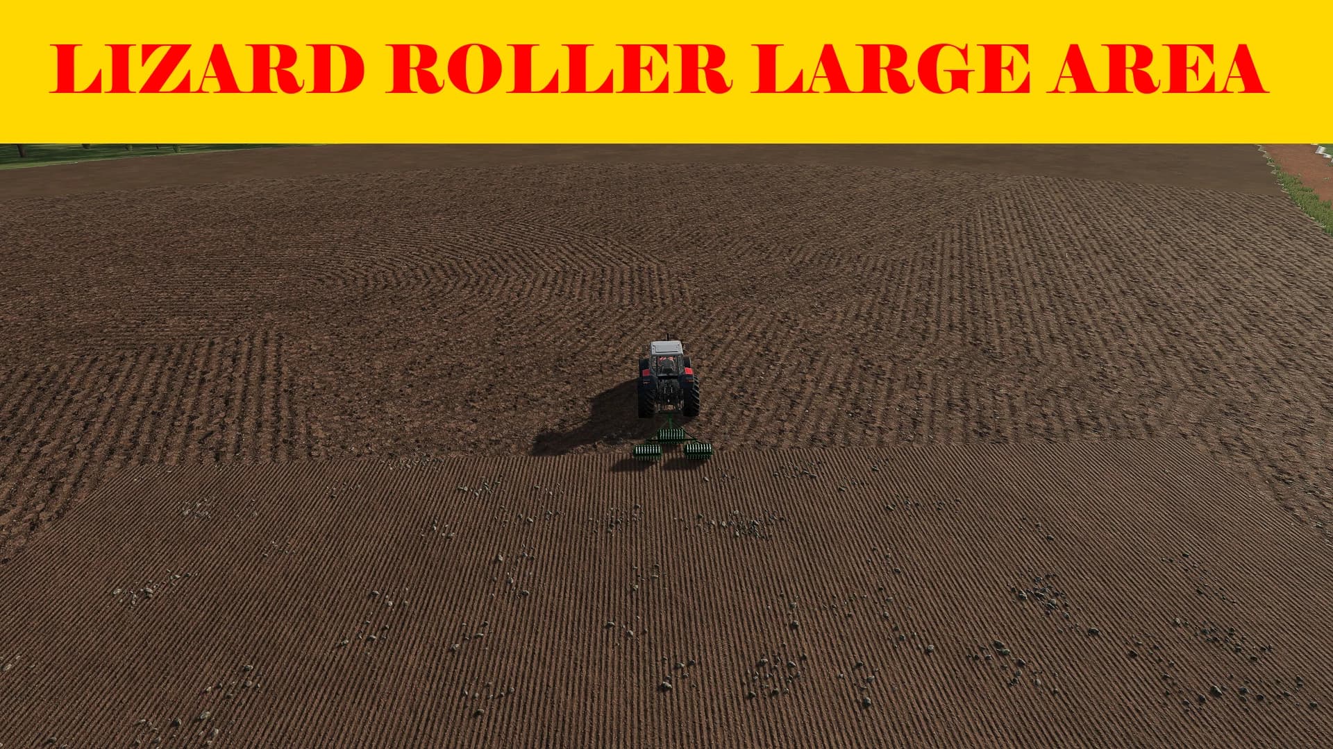 LIZARD ROLLER LARGE AREA 2
