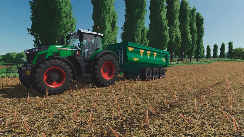 LIZARD RUBI 290T 4