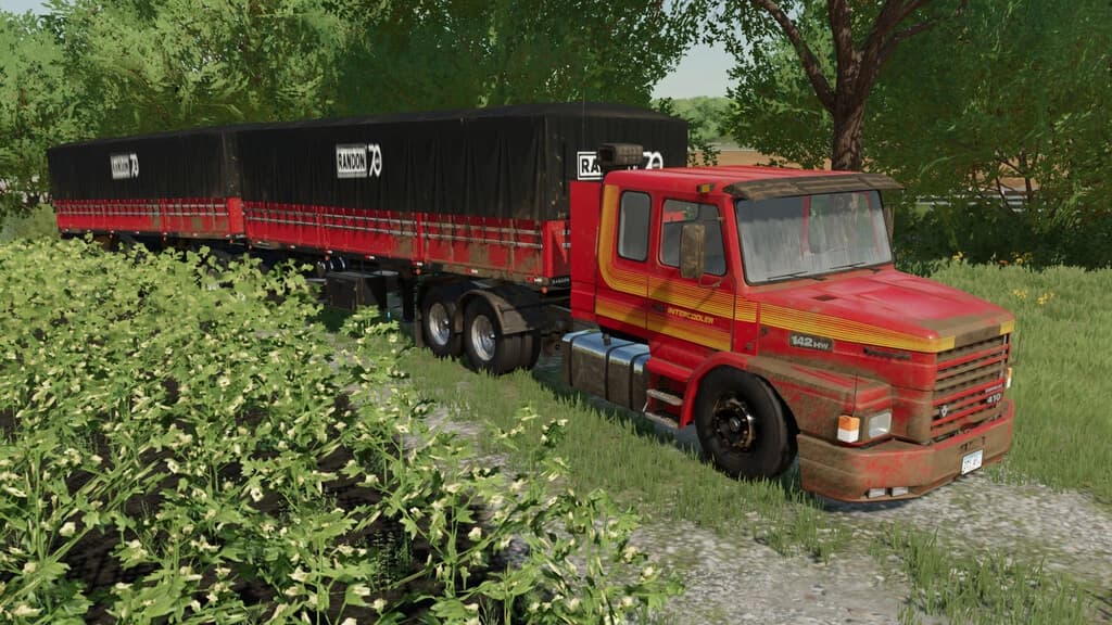 LIZARD T SERIE 2
