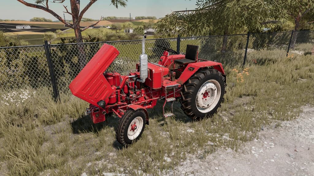 LIZARD T25 5