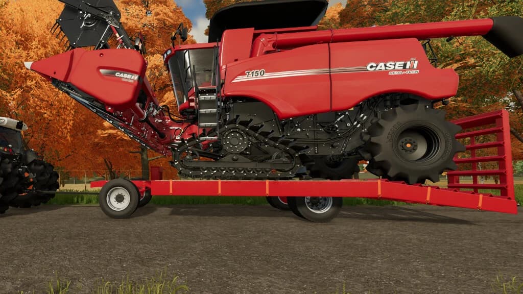 LIZARD TP 10M 3