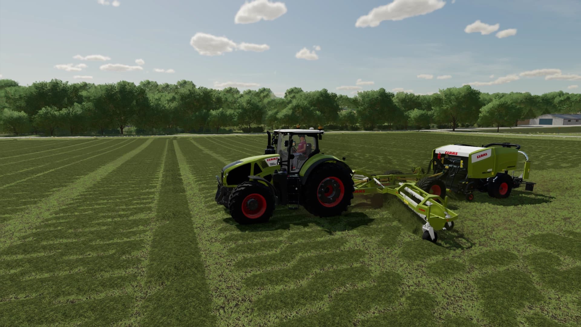 LIZARD TRAILED WINDROWER 4