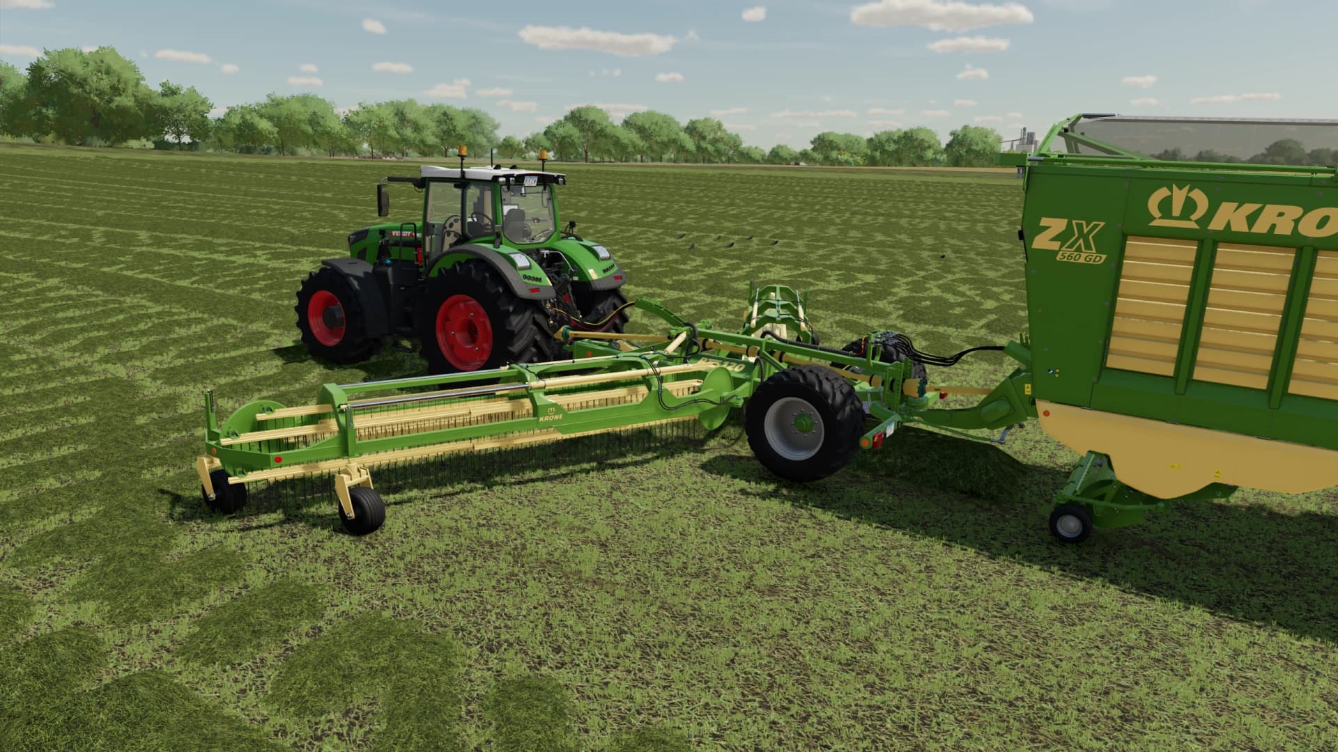 LIZARD TRAILED WINDROWER 3