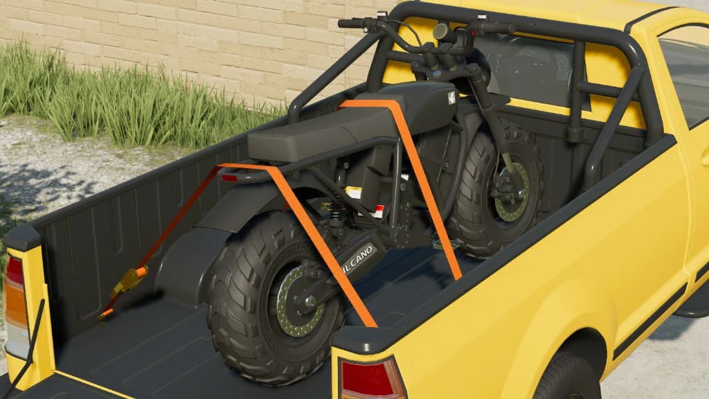 LIZARD VULCANO 3