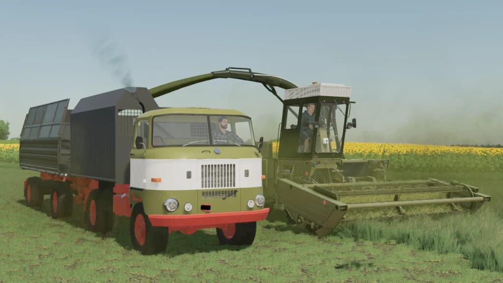 LIZARD W50 2