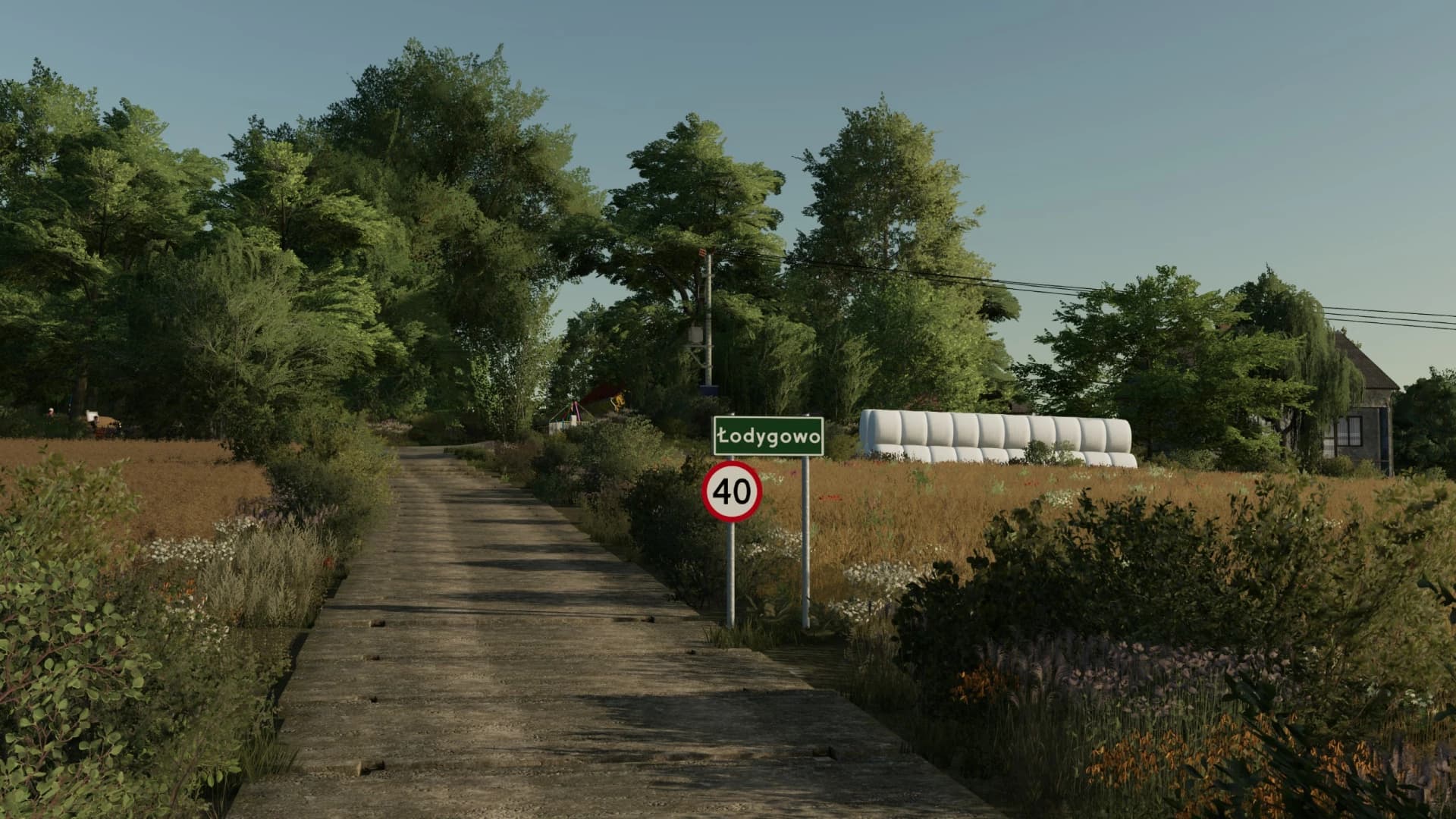 ŁODYGOWO 6