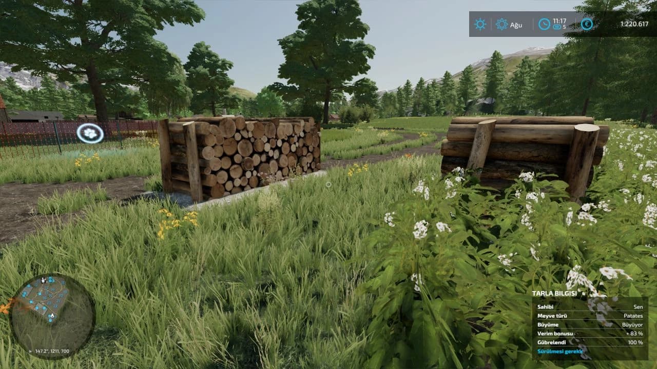 LOG DECORATION 3