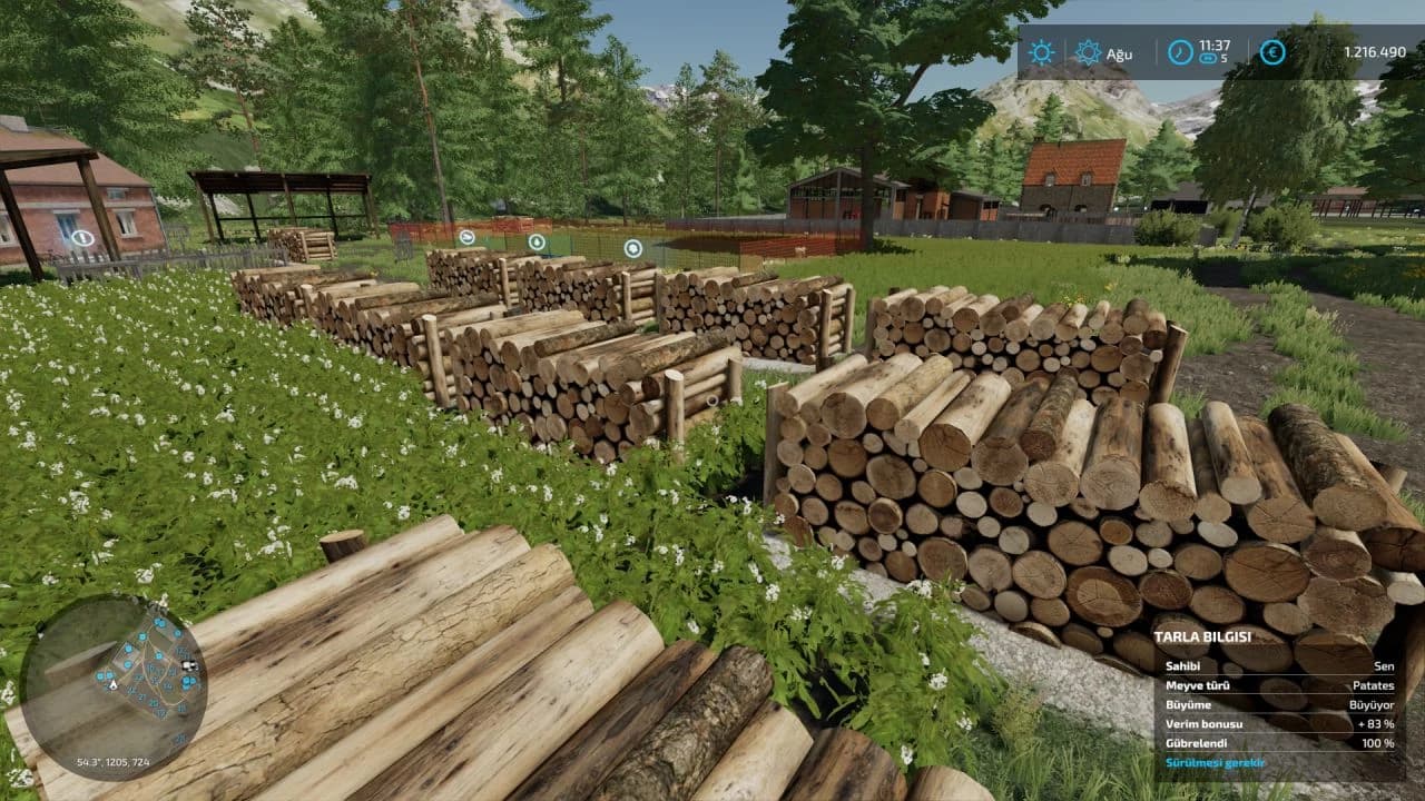 LOG DECORATION 2
