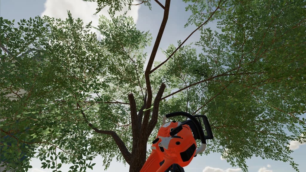 LONG REACH CHAINSAW 3